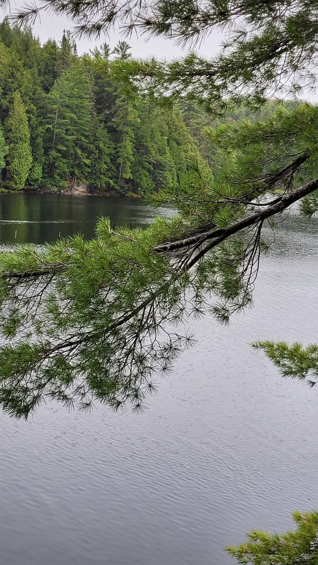 Trip Report - Smoke Lake to Phipps Lake