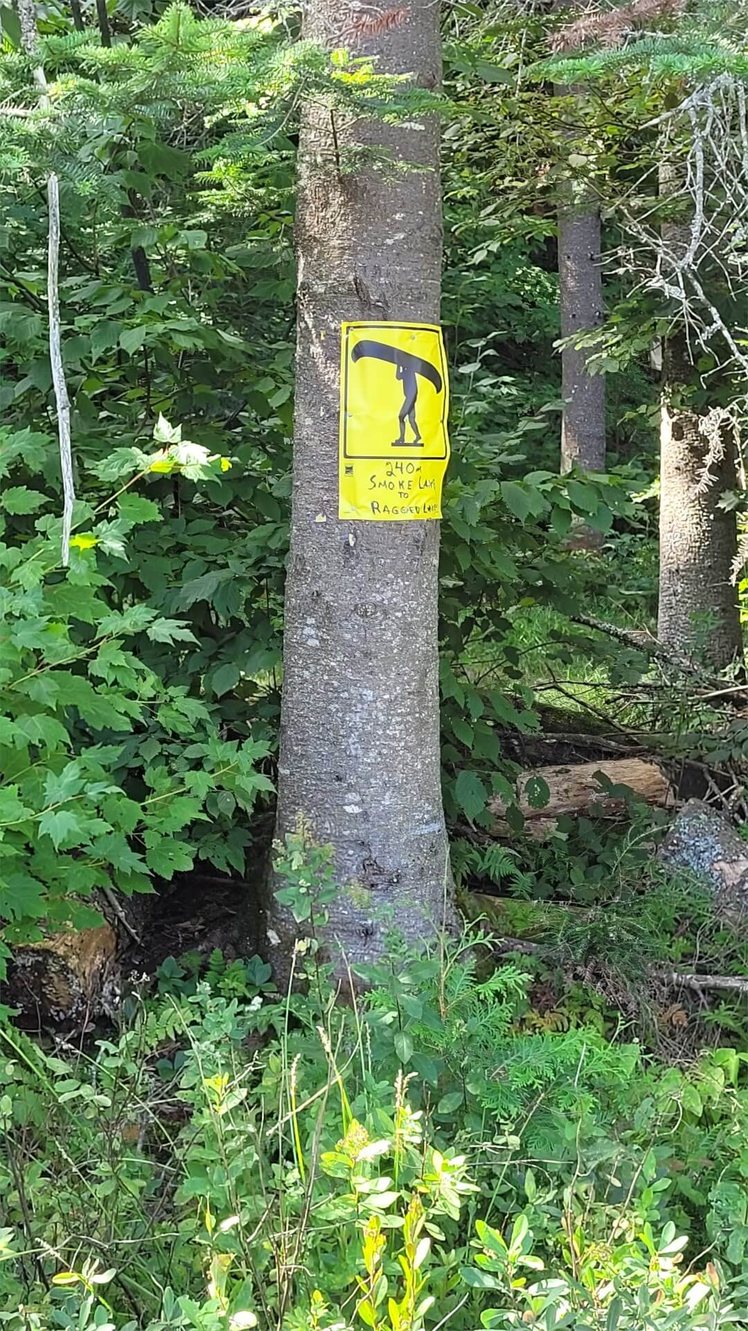 Trip Report - Smoke Lake to Phipps Lake
