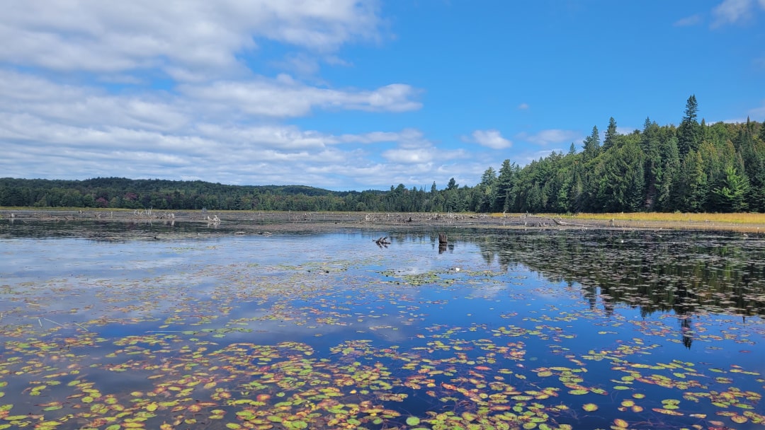 Trip Report - Smoke Lake to Phipps Lake