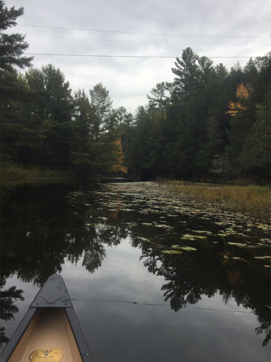 Trip Report - Widgawa Lodge to Nellie Lake Trip Report - Widgawa Lodge to Nellie Lake