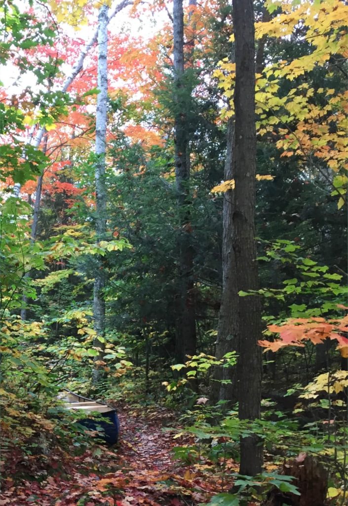Trip Report - Widgawa Lodge to Nellie Lake